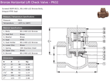 Bronze Horizontal Lift Check Valve - PN32