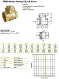 Brass BSPP PN20 Swing Check Valve - Rubber Seat