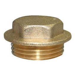 Brass BSP Flanged Plug