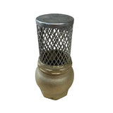 Brass Foot valve & Strainer 1"