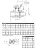 Carbon Steel 3 Piece Ball  Valve - Screwed BSPP - ISO Top Data Sheet 2
