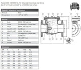 Cast Iron Check Valve - Flanged ANSI 150 Data Sheet