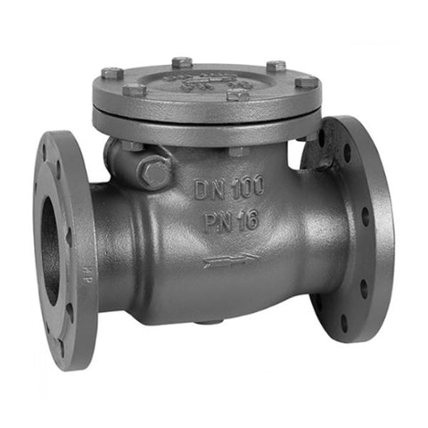 Cast Iron Check Valve - Flanged ANSI 150