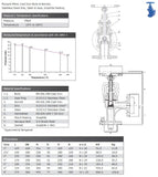 Cast Iron Globe Valve - Angle Pattern - Flanged PN16 Data Sheet