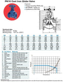 Cast Iron Globe Valve - Flanged PN16