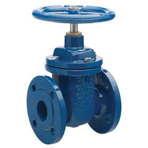 Ductile Iron Gate Valve - Flanged PN16