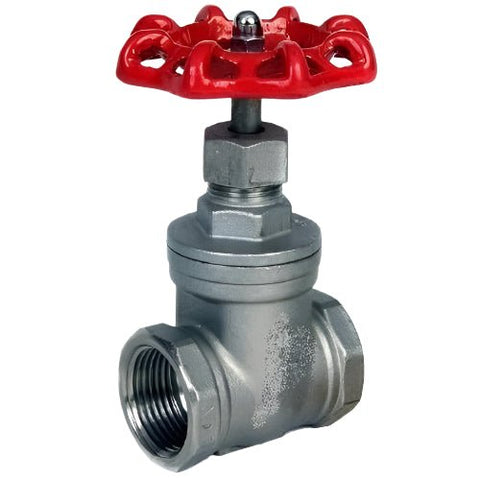 Stainless Steel 316 PN16 BSPP Gate Valve