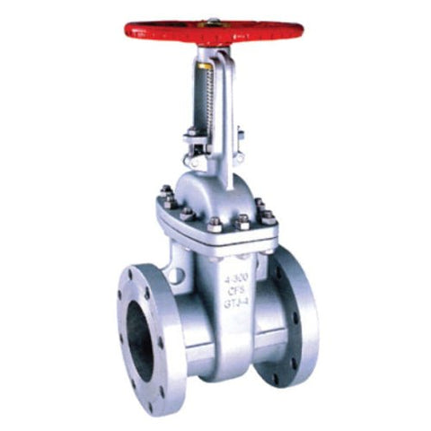 Stainless Steel Gate Valve - Flanged ANSI 150