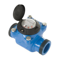 Woltman Water Meter - Screwed BSP