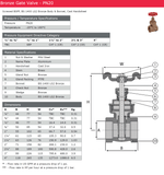 Bronze BSPP Gate Valve  - PN20