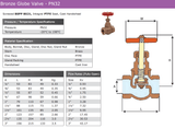 BRONZE PN32 BSPP GLOBE VALVE - STEAM.