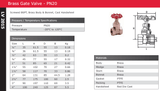 Brass BSPT PN20 Gate Valve
