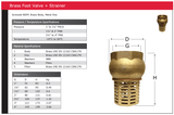 Brass BSP Foot Valve & Strainer
