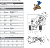 Brass BSPP Double Regulating Balancing Valve - FODRV