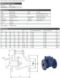 CAST IRON SWING CHECK VALVE - FLANGED PN16 - EPDM SEAT