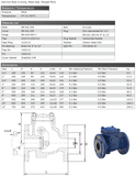 CAST IRON SWING CHECK VALVE - FLANGED PN16 - STAINLESS SEAT