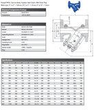 Cast Iron 'Y' Strainer Valve - Flanged PN16