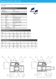 Stainless Steel 316 BSPP Mini Ball Valve Male x Female
