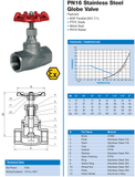 STAINLESS STEEL 316 BSPP GLOBE VALVE.