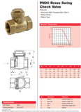 Brass BSPP PN20 Swing Check Valve - Metal Seat