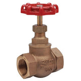 Bronze PN32 BSPP Globe Valve - Steam