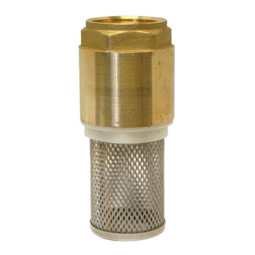 Brass BSPP Spring Check Valve & Strainer