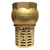 BRASS FOOT VALVE & STRAINER.